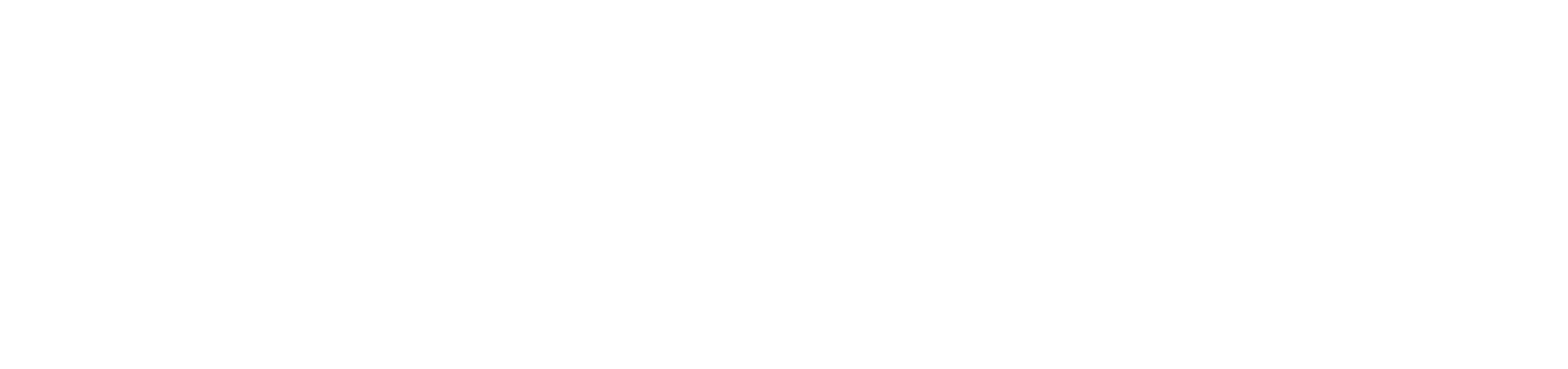 Foundation Logo